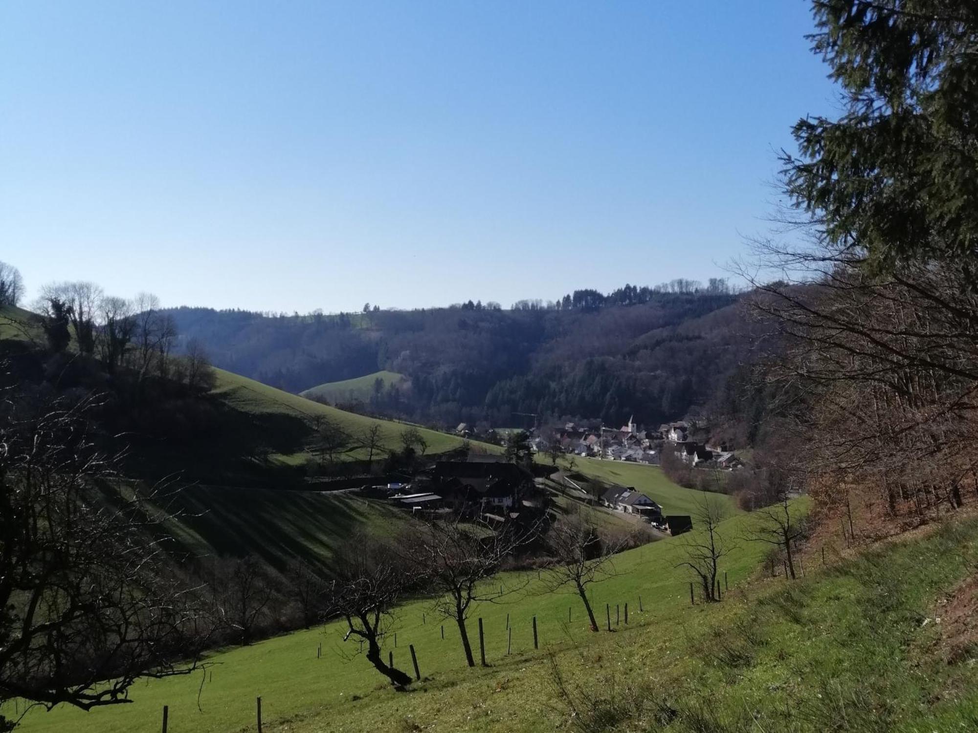Ferienwohnung Am Spielberg Freiamt ภายนอก รูปภาพ